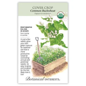 Buckwheat Cover Crop Organic Large Seed Pack