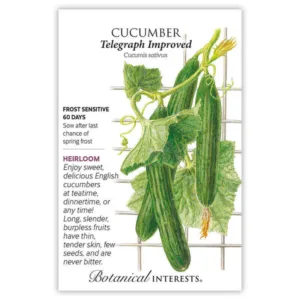 Cucumber English Telegraph Seed Pack