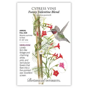 Cypress Vine Funny Valentine Blend Seed Pack