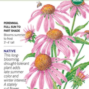 Echinacea Purple Coneflower Organic Seed Pack