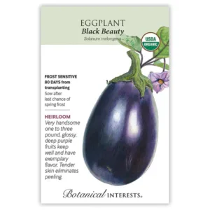 Eggplant Black Beauty Organic Seed Pack