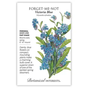 Forget-Me-Not Victoria Blue Seed Pack