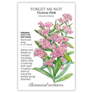 Forget-Me-Not Victoria Pink Seed Pack