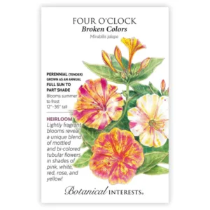 Four O'Clock Broken Colors Seed Pack