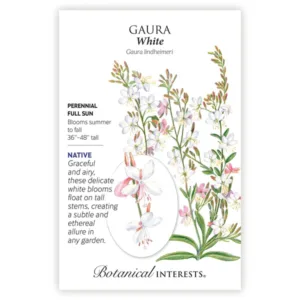 Gaura White Seed Pack