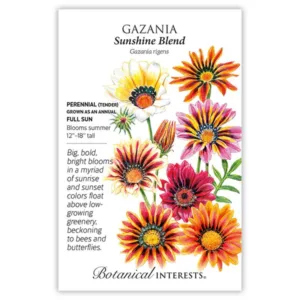 Gazania Sunshine Blend Seed Pack