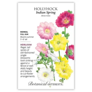 Hollyhock Indian Spring Seed Pack
