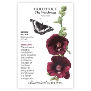 Hollyhock The Watchman Seed Pack