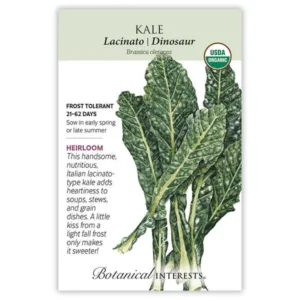 Kale Lacinato Dinosaur Organic Seed Pack