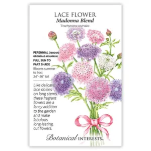 Lace Flower Madonna Blend Seed Pack