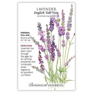 Lavender English Tall Vera Seed Pack