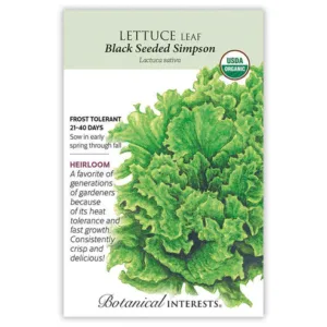 Lettuce Leaf Black Seeded Simpson Organic Seed Pack