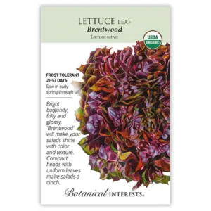 Lettuce Leaf Eazyleaf Brentwood Organic Seed Pack
