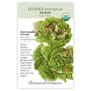 Lettuce Butterhead Australe Organic Seed Pack