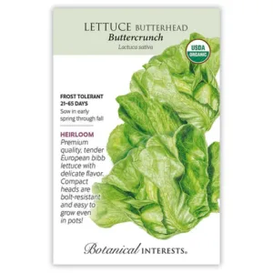 Lettuce Butterhead Buttercrunch Organic Seed Pack