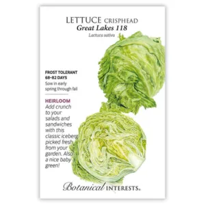 Lettuce Crisphead Great Lakes 118 Seed Pack