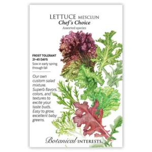 Lettuce Mesclun Chef's Choice Large Seed Pack