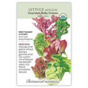 Lettuce Mesclun Gourmet Baby Greens Organic Seed Pack