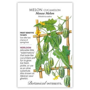 Melon Cucamelon Mouse Melon Seed Pack