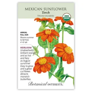Sunflower Mexican Torch Organic Seed Pack
