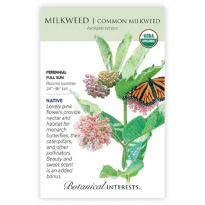Milkweed Common Butterfly Flower Organic Seed Pack