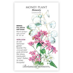 Money Plant Honesty Seed Pack