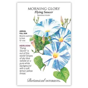 Morning Glory Flying Saucer Seed Pack
