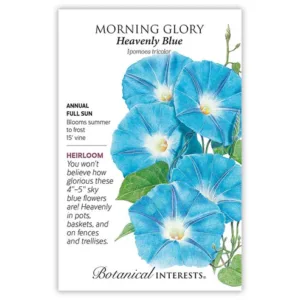 Morning Glory Heavenly Blue Seed Pack