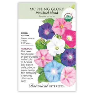 Morning Glory Pinwheel Blend Organic Seed Pack