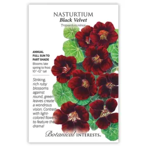 Nasturtium Black Velvet Seed Pack