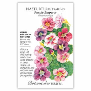 Nasturtium Purple Emperor Seed Pack
