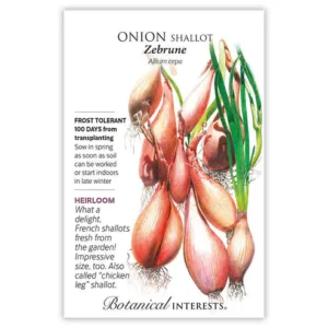 Onion Shallot Zebrune Seed Pack