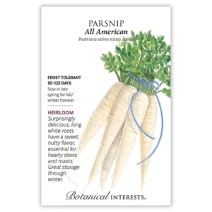 Parsnip All American Seed Pack