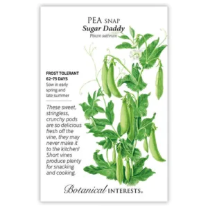 Pea Snap Sugar Daddy Seed Pack
