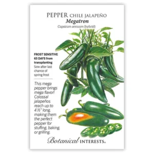 Pepper Chile Jalapeno Megatron Seed Pack