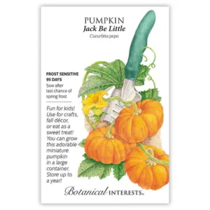 Pumpkin Jack Be Little Seed Pack