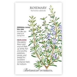Rosemary Seed Pack