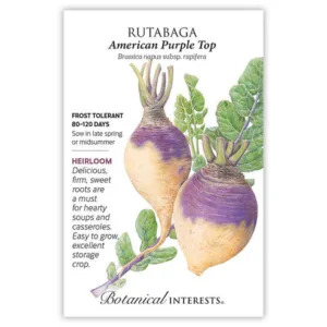 Rutabaga American Purple Top Seed Pack