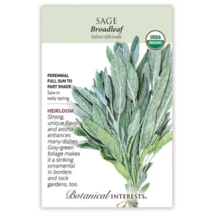 Sage Broadleaf Organic Seed Pack