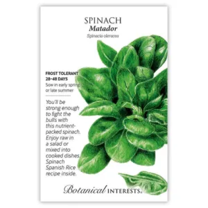 Spinach Matador Seed Pack