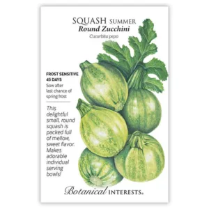 Squash Summer Round Zucchini Seed Pack