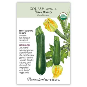 Squash Summer Black Beauty Organic Seed Pack