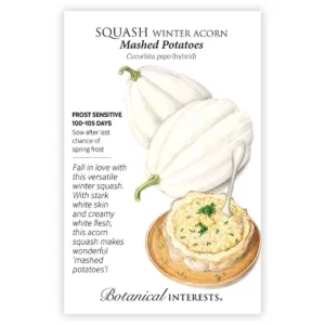 Squash Winter Acorn Mashed Potatoes Seed Pack