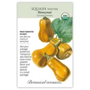 Squash Winter Honeynut Organic Seed Pack