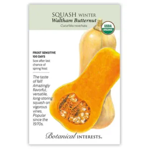 Squash Winter Waltham Butternut Organic Seed Pack