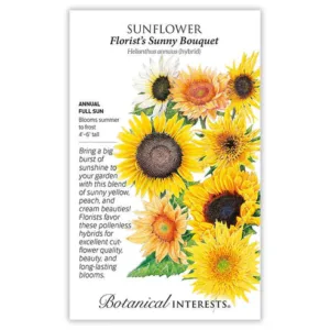 Sunflower Florist's Sunny Bouquet Large Seed Pack