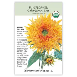 Sunflower Goldy Honey Bear Seed Pack