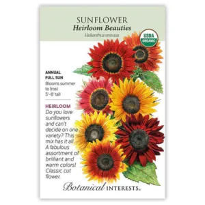 Sunflower Heirloom Beauties Organic Large Seed Pack