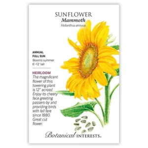 Sunflower Mammoth Seed Pack