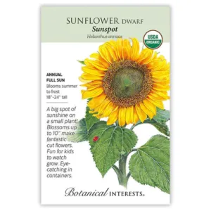 Sunflower Dwarf Sunspot Organic Seed Pack